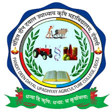 PDU COLLEGE